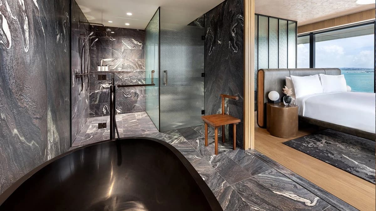 Guest bathroom 2