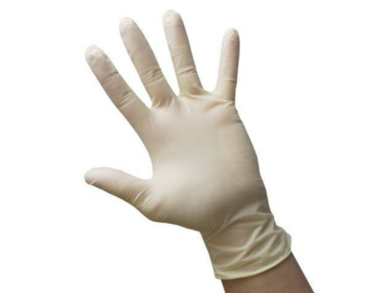 Large Latex Powder Free Gloves Astro Hospitality